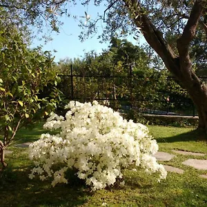 La Vie Est Belle Bed & Breakfast